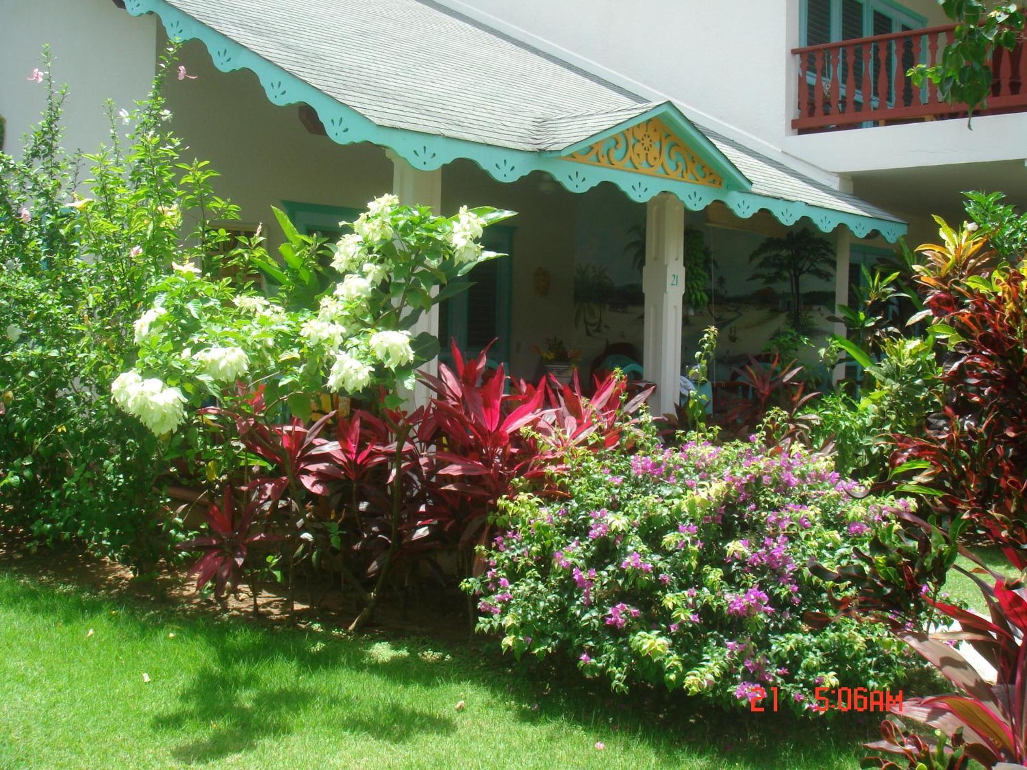 Hotel Playa Colibri Las Terrenas Luaran gambar
